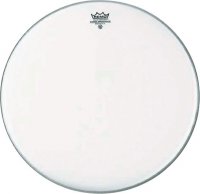 REMO 6" Ambassador Coated