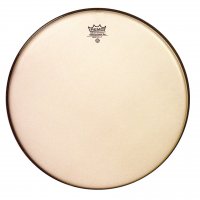 REMO 8" Ambassador Renaissance