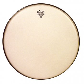 REMO 14" Ambassador Renaissance