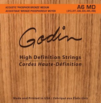 GODIN Strings Acoustic Guitar MD