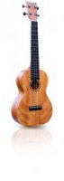 Ukulele tenorové Ashton UKE 280 MH