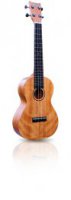 Ukulele tenorov Ashton UKE 280 MH