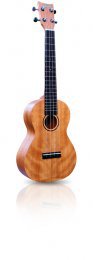 Ukulele tenorov Ashton UKE 280 MH