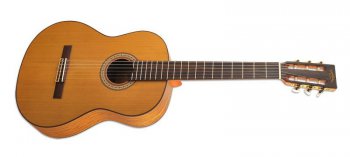 Sigma Guitars CO-6M