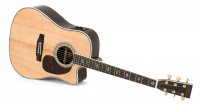 Sigma Guitars DTC-41E