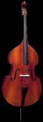 Strunal 50/4F D-Bass 3/4